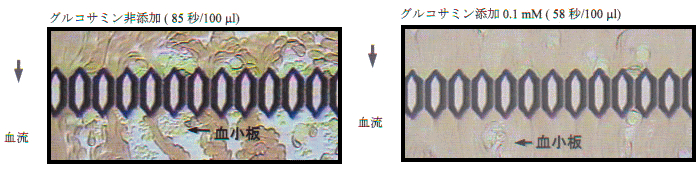 gul_img2